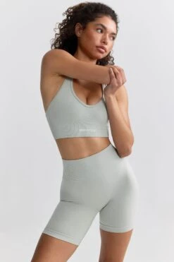 Define Luxe High-Waist Biker Shorts In Fog